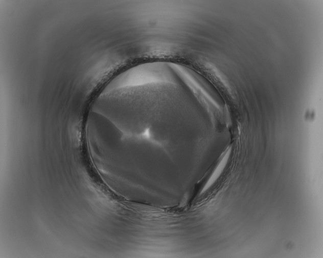 X0000091980640200709201427