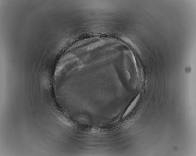 X0000091980641200709201427