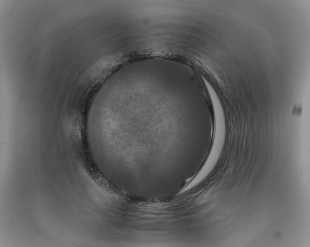 X0000091980643200709201427