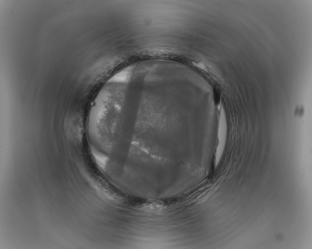 X0000091980644200709201427