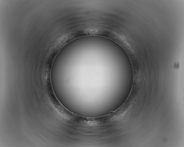 X0000091980645200709201427