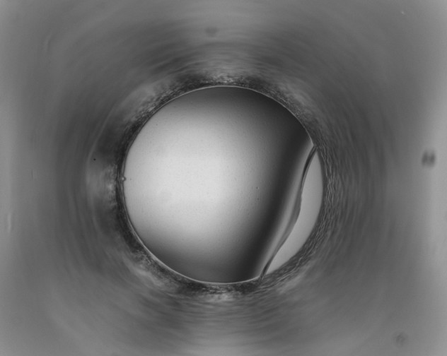 X0000091980646200709201427