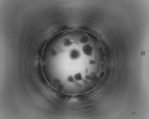 X0000091980647200709201427