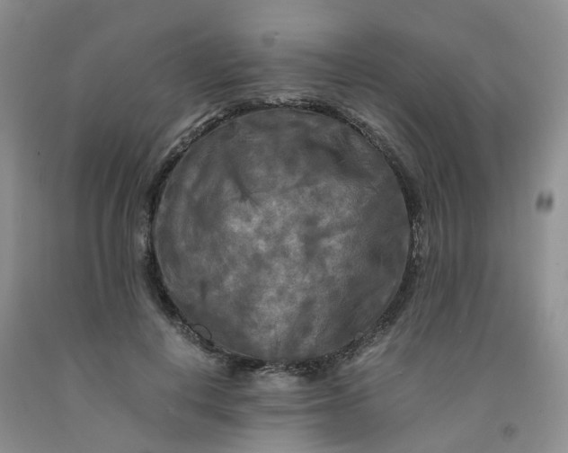 X0000091980648200709201427