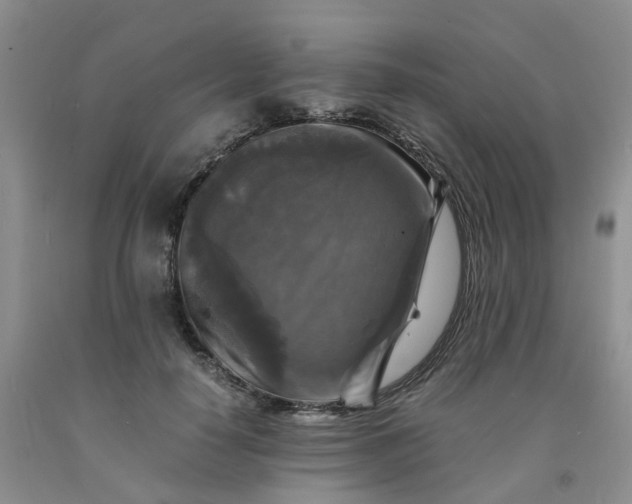 X0000091980650200709201427