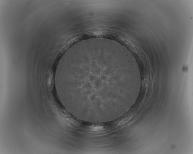 X0000091980651200709201427