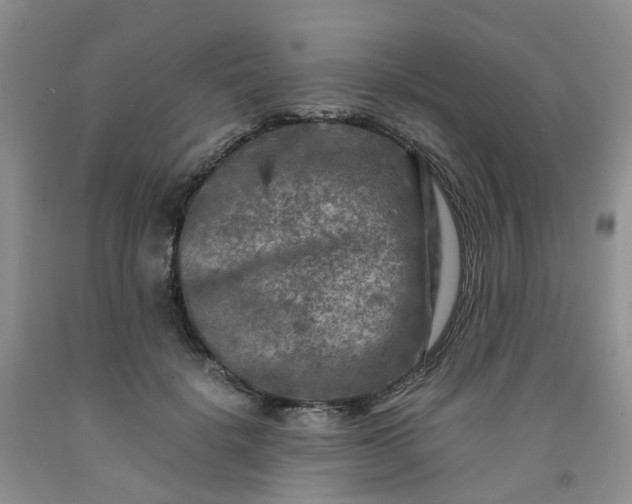 X0000091980652200709201427