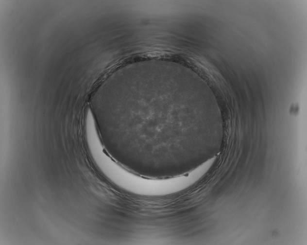 X0000091980653200709201427