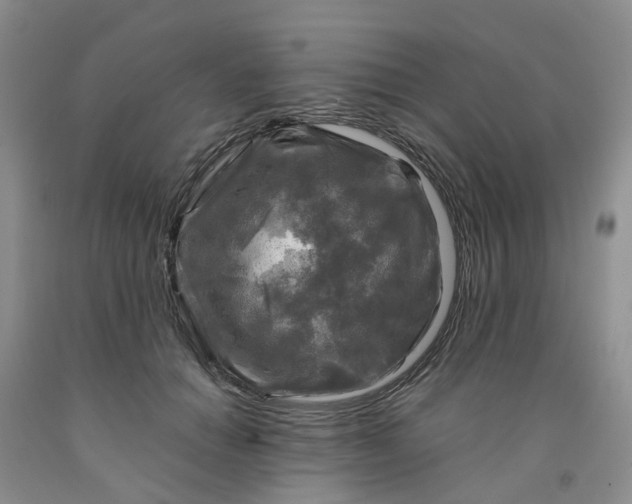 X0000091980654200709201427