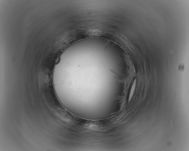 X0000091980655200709201427