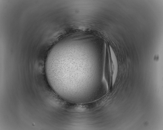 X0000091980656200709201427