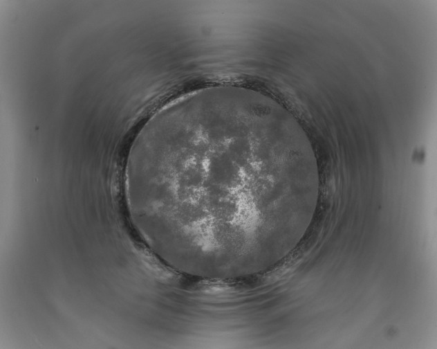 X0000091980658200709201427