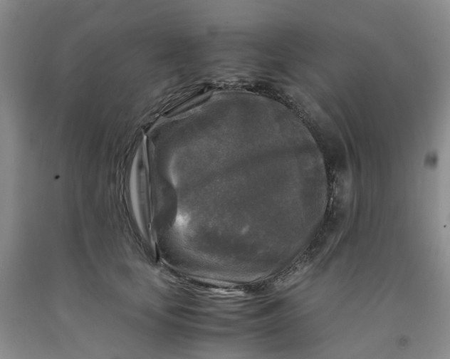 X0000091980659200709201427