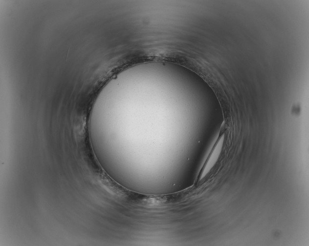 X0000091980660200709201427