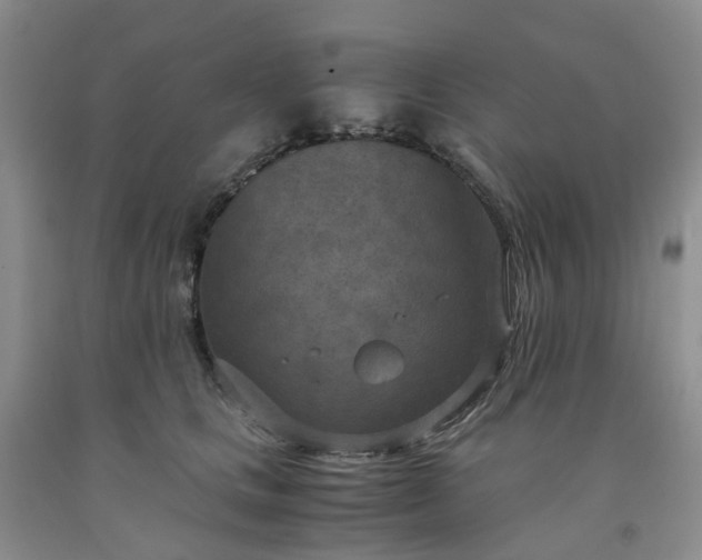 X0000091980661200709201427