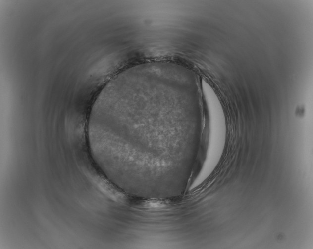 X0000091980662200709201427