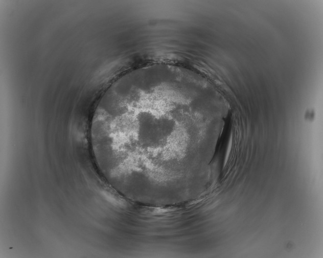 X0000091980663200709201427