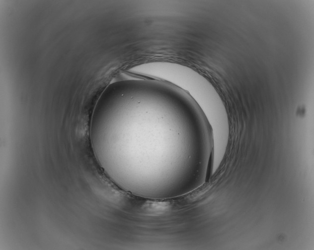 X0000091980665200709201427