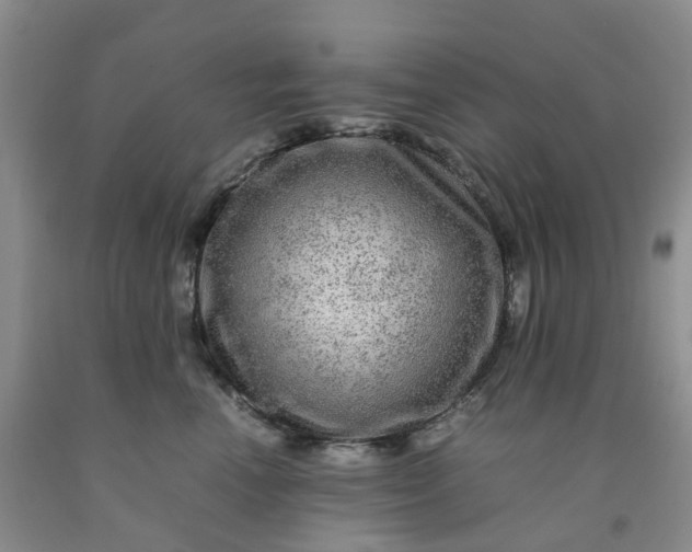 X0000091980666200709201427