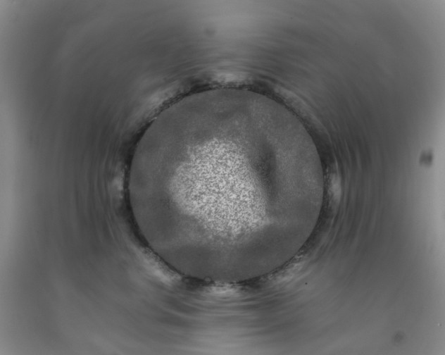 X0000091980668200709201427