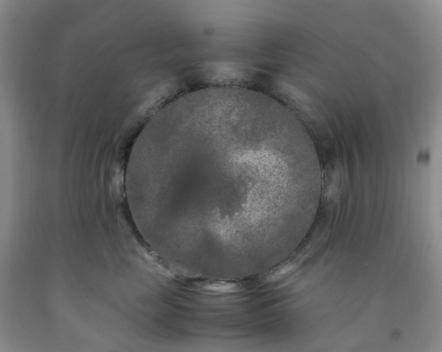 X0000091980669200709201427