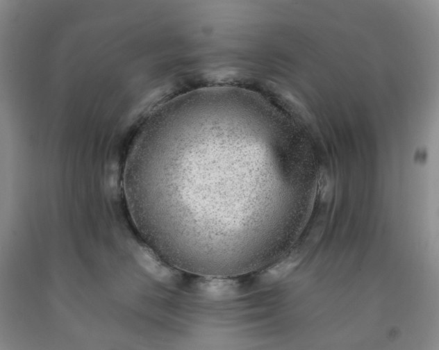 X0000091980670200709201427