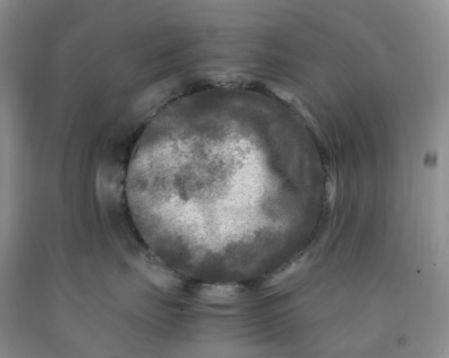 X0000091980671200709201427