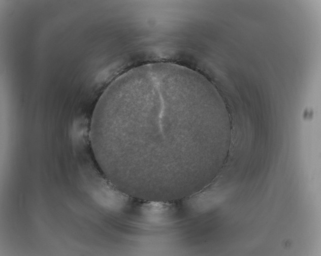 X0000091980672200709201427