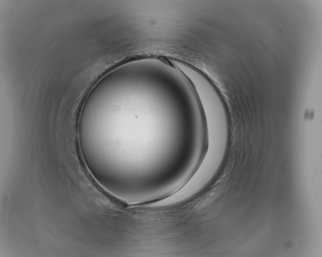 X0000091980673200709201427