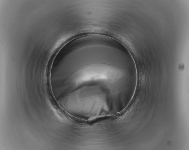 X0000091980674200709201427