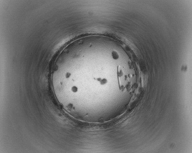 X0000091980675200709201427