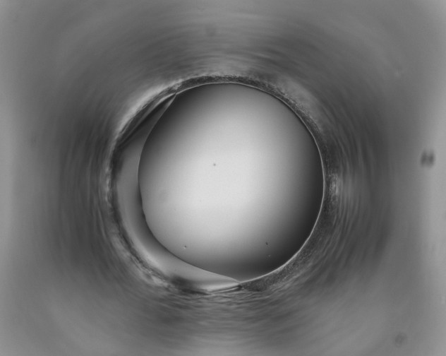 X0000091980676200709201427