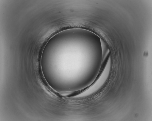 X0000091980677200709201427