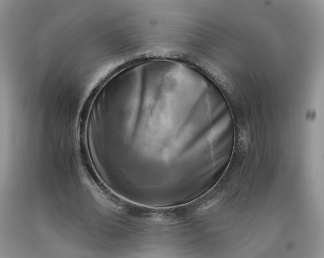 X0000091980678200709201427