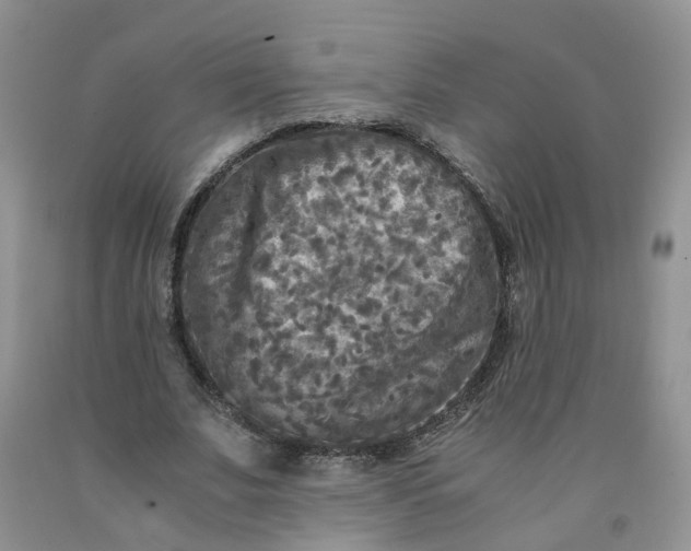 X0000091980679200709201427