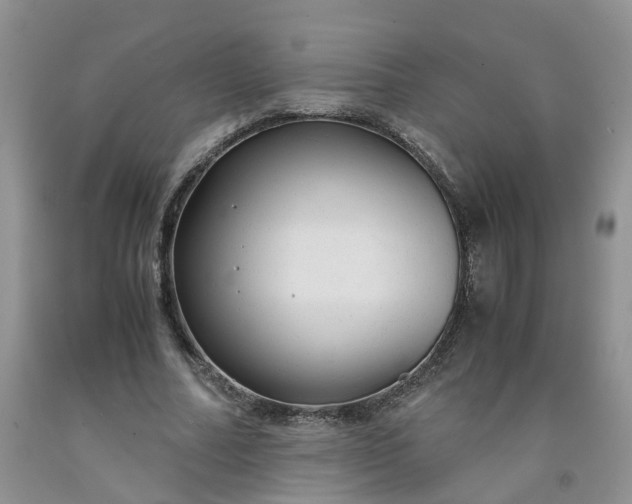 X0000091980682200709201427