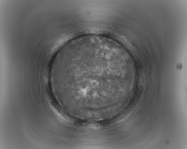 X0000091980683200709201427