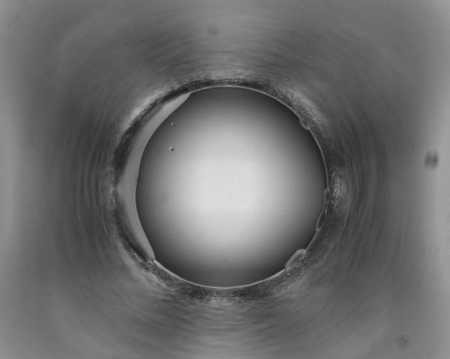 X0000091980684200709201427