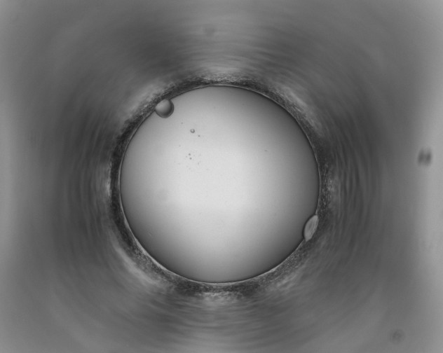 X0000091980686200709201427