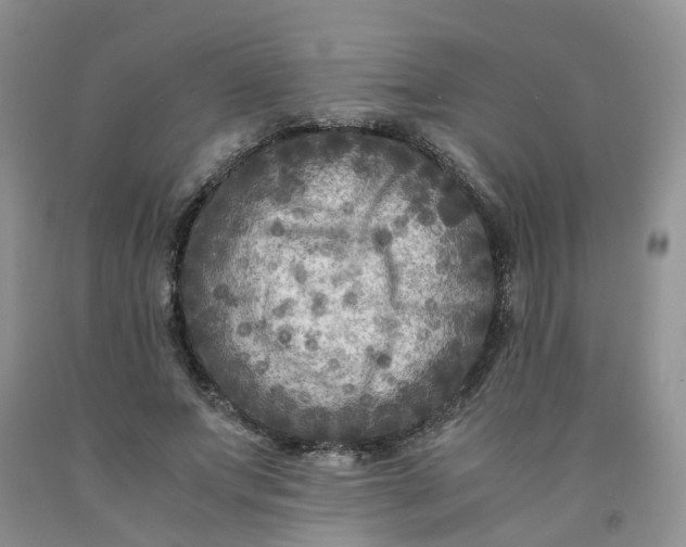 X0000091980687200709201427