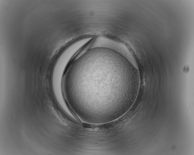 X0000091980688200709201427