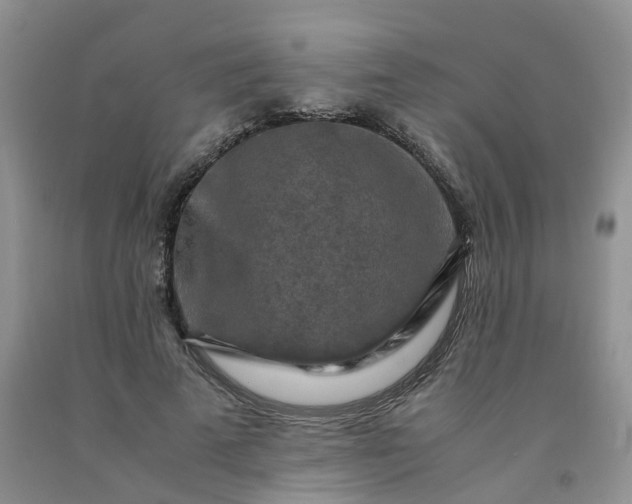 X0000091980689200709201427