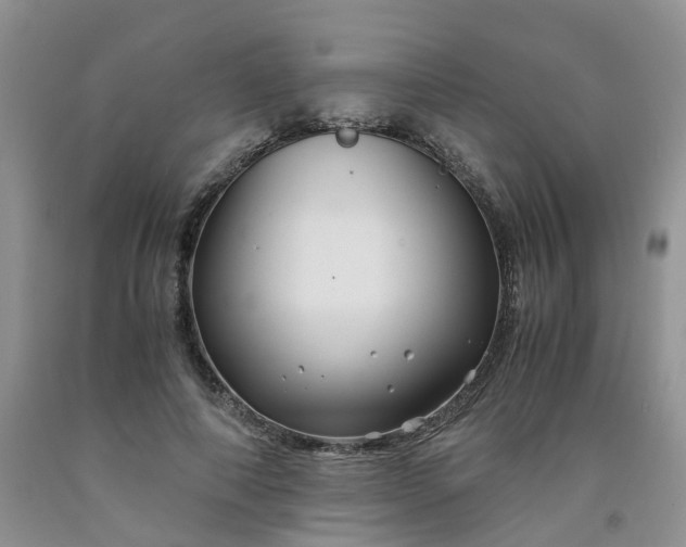 X0000091980690200709201427