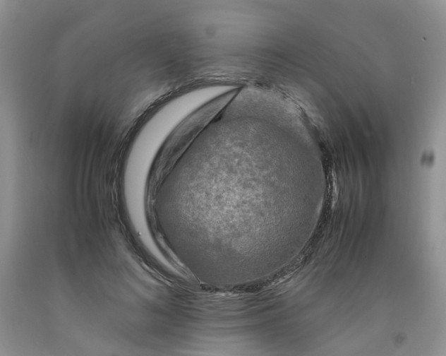 X0000091980692200709201427