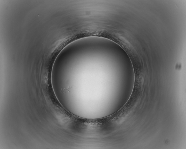 X0000091980693200709201427