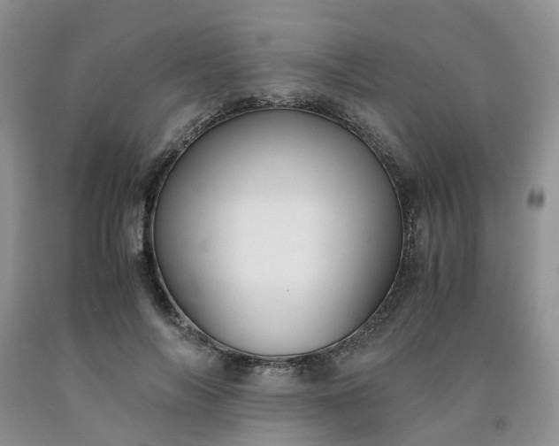 X0000091980694200709201427