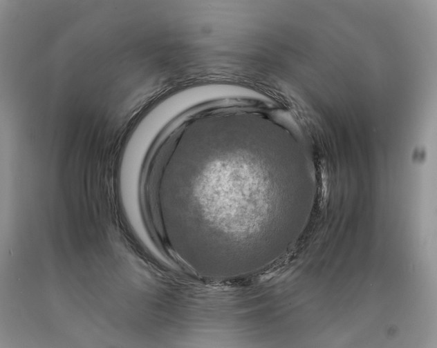 X0000091980696200709201427