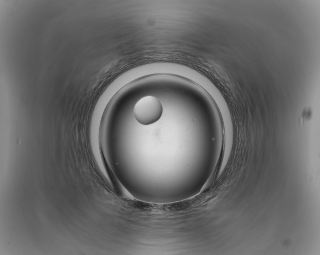 X0000091980697200709201427