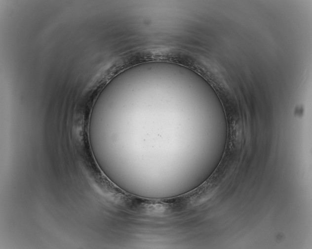 X0000091980698200709201427