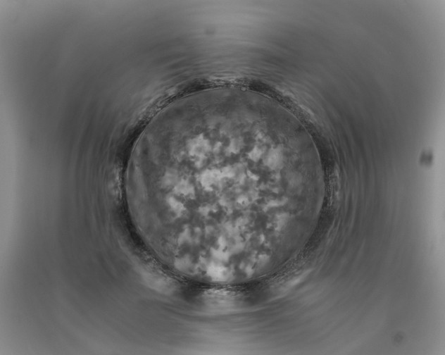 X0000091980699200709201427